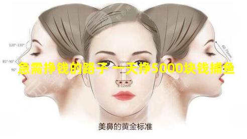 急需挣钱的路子 一天挣5000块钱捕鱼